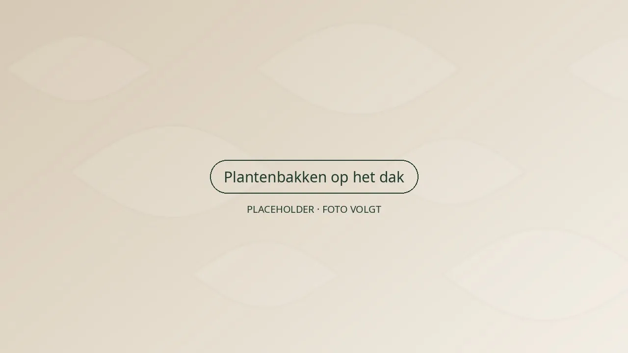 Siergrassen en lavendel in antraciet plantenbakken op het dak