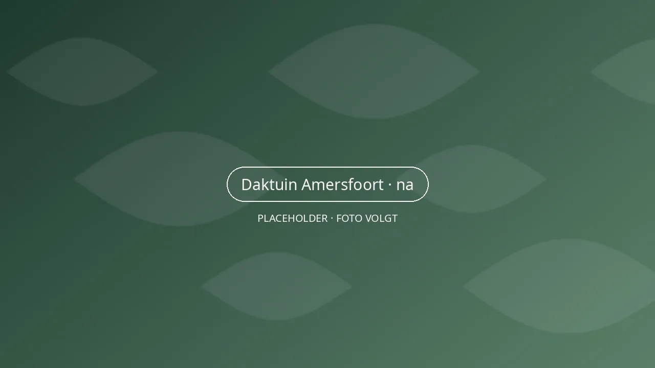 Daktuin in Amersfoort met houten vlonder, grote donkere plantenbakken met siergrassen en uitzicht over de daken