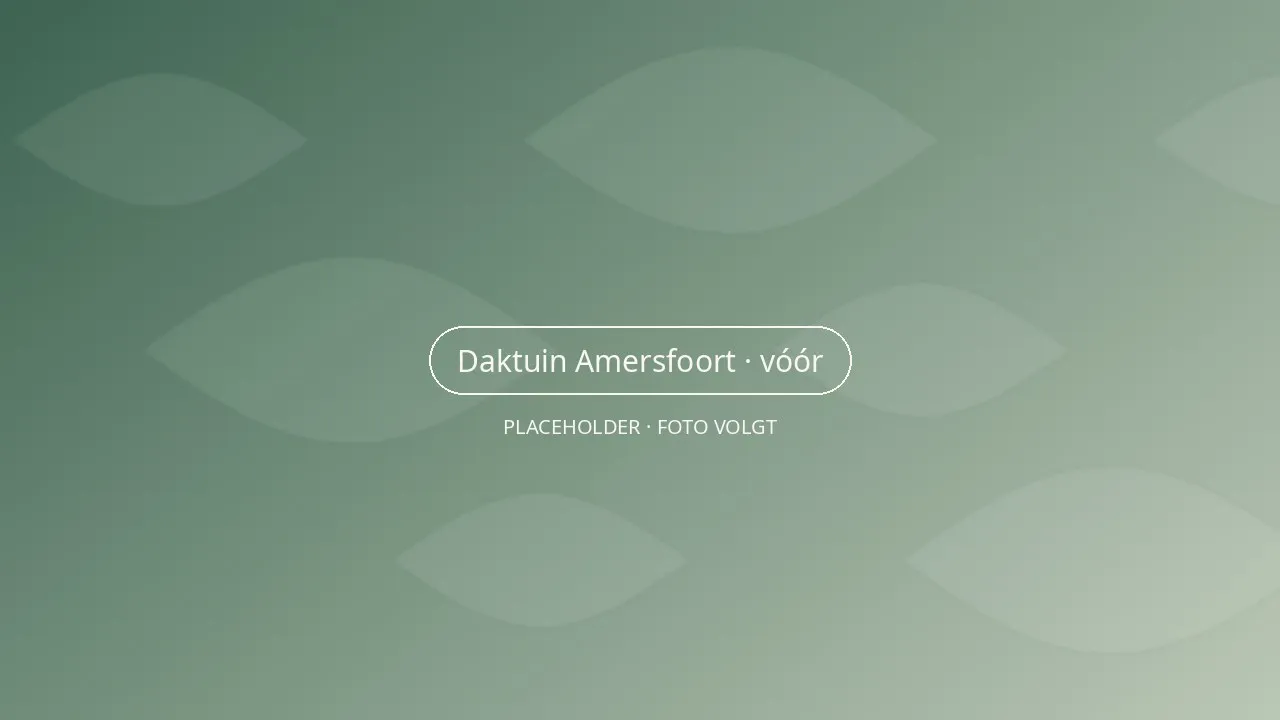 Het dakterras vóór de aanleg, met kale betontegels