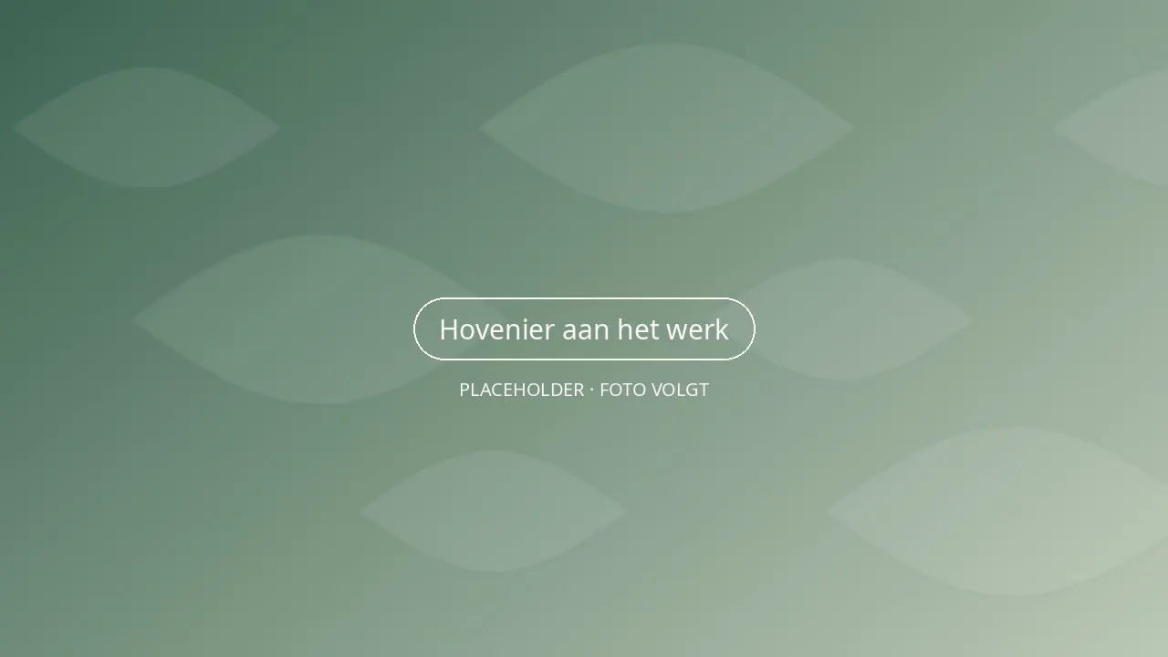 Hovenier van Wilgenhof Tuinen plant vaste planten in een nieuwe border