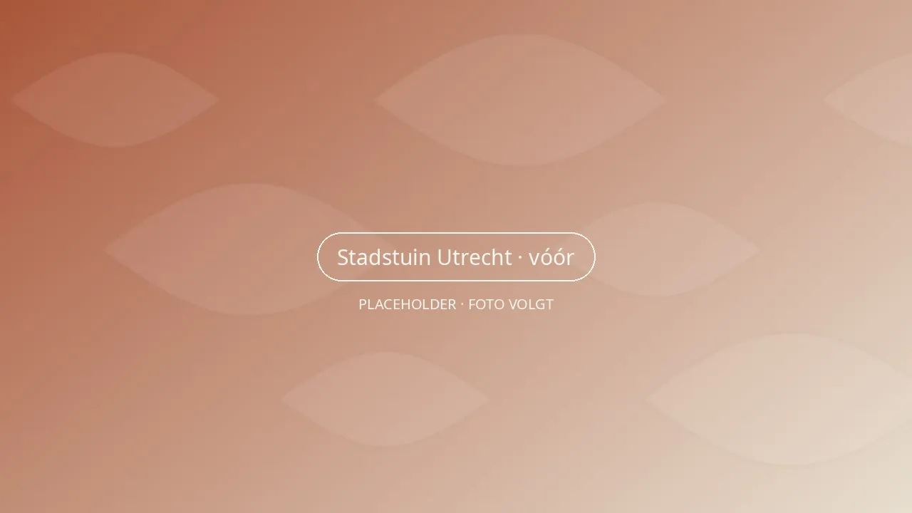 De stadstuin vóór de aanleg, kaal en verwaarloosd