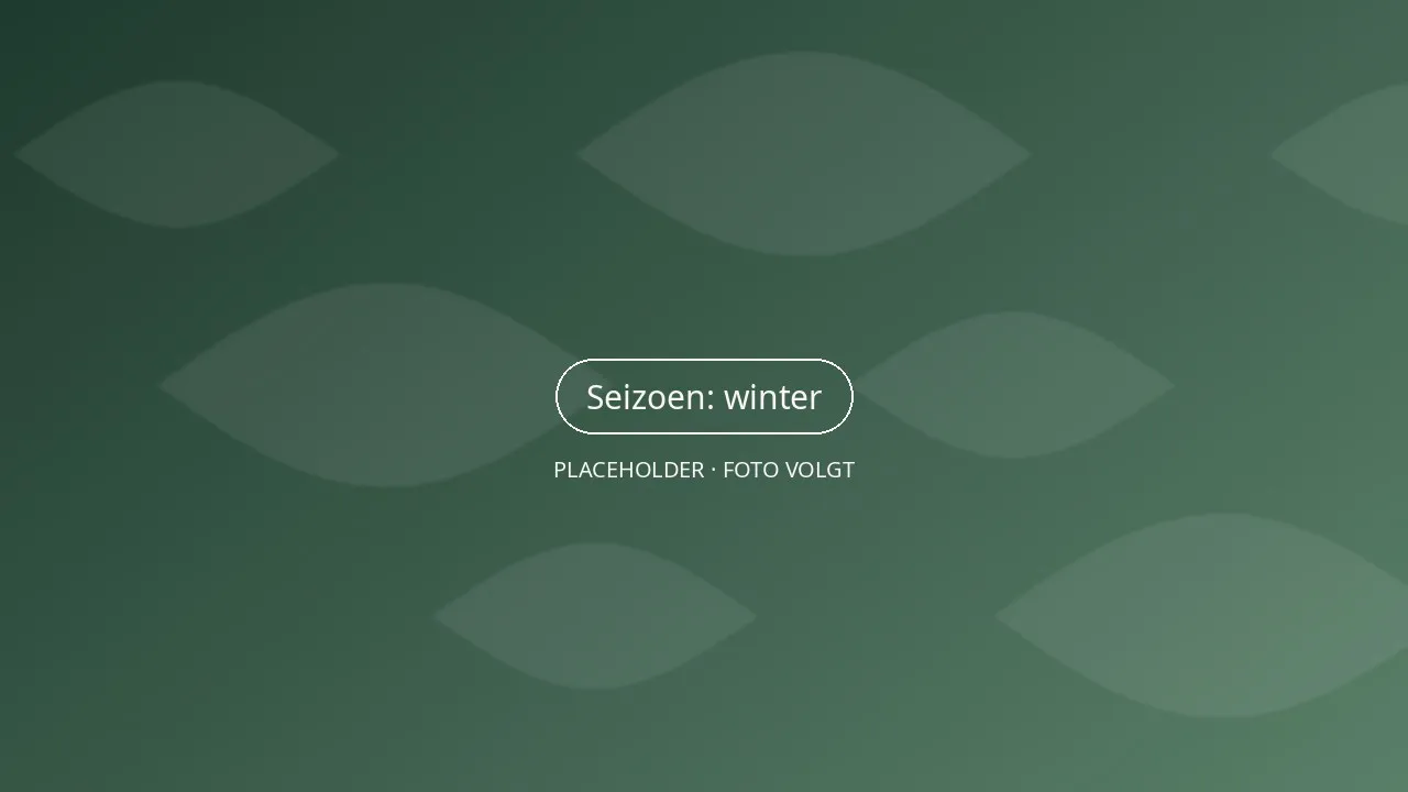 Winterse tuin met rijp op geknipte hagen, siergrassen en buxusbollen